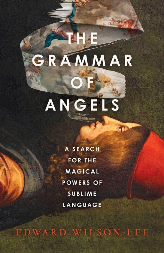 The Grammar of Angels 9780008621797 Edward Wilson-Lee, Boeken, Taal | Engels, Zo goed als nieuw, Verzenden