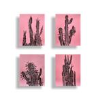 N. Magro - Collectables: “Four Parisian Cacti”