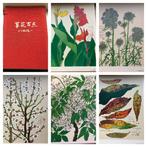 Shunichi Kadowaki - 100 plates of plants and flowers. - 1993, Antiek en Kunst, Antiek | Boeken en Bijbels