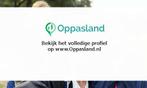 Sting zoekt een oppas in Duiven voor 2 kinderen., Vacatures, Vacatures | Schoonmaak en Facilitaire diensten