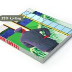 Roger Raveel 9789089103017, Verzenden, Zo goed als nieuw