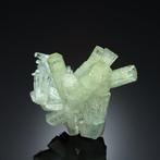 Zeldzaam! BERYL var. GOSHENITE - AQUAMARINE uit Erongo