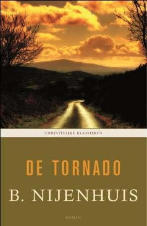 De tornado 9789043504768 B. Nijenhuis, Boeken, Romans, Gelezen, Verzenden