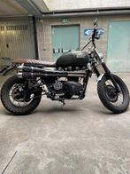 Triumph - Scrambler - Special - 900 cc - 2010