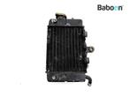Radiateur Rechts Honda XL 600 V Transalp 1987-1990 (XL600V, Motoren, Verzenden, Gebruikt