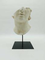 sculptuur, Volto di Alessandro Magno - 37 cm - marmeren stof