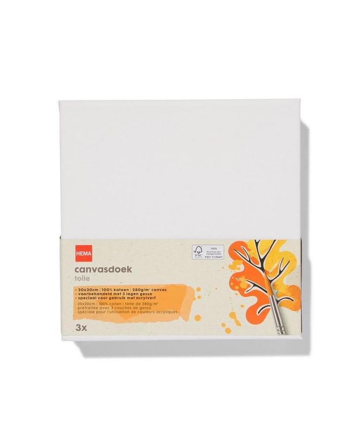 HEMA Canvasdoeken 280gsm 20x20 - 3 stuks, Hobby en Vrije tijd, Schilderen, Nieuw, Verzenden
