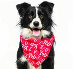 Barking Bakery Trio Mini Iced I Woof You Valentine, Dieren en Toebehoren, Verzenden, Nieuw