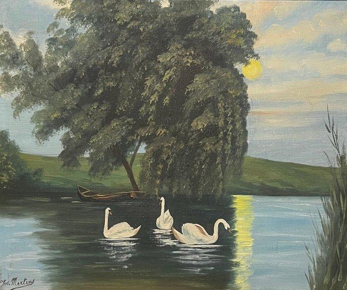 Jos Mertens (1911-1964) - Zwanen op een meer bij, Antiek en Kunst, Kunst | Schilderijen | Klassiek