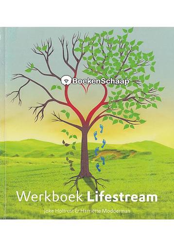 Werkboek lifestream Harriette Modderman, Joke Holtrust