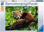 Schattige Rode Panda Puzzel (500 stukjes) | Ravensburger -, Hobby en Vrije tijd, Denksport en Puzzels, Nieuw, Verzenden