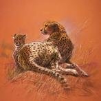 Kunstdruk Renato Casaro - Cheetah Mother 50x50cm, Huis en Inrichting, Verzenden, Nieuw