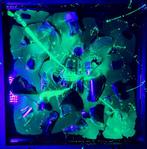 LURNC LXX (1969) - Absolut Vodka Pears - crash - Fluo