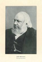 Portrait of Jacobus Jacob Albertus Willebrordus Moleschott, Antiek en Kunst