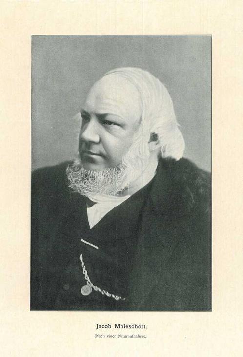Portrait of Jacobus Jacob Albertus Willebrordus Moleschott, Antiek en Kunst, Kunst | Etsen en Gravures