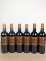 2020 Château dIssan - Bordeaux, Margaux - 6 Flessen (0.75, Nieuw