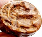 Indus Vallei Jasper XS Tijger Kraal Zeel Talisman - 25 mm, Antiek en Kunst, Antiek | Overige Antiek