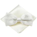 Fako Fashion® - Vlinderstrik Met Pochette - Vlinderdas -, Kleding | Heren, Verzenden, Nieuw
