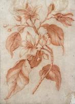Louis Tessier (c.1719-1781) - Fiori d’arancio, Antiek en Kunst