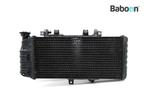 Radiateur BMW F 800 GS 2008-2012 (F800GS 08) (7699226), Motoren, Onderdelen | BMW, Verzenden, Gebruikt