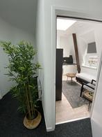 Te huur: Appartement Oldenzaalsestraat in Enschede, Overijssel, Enschede, Appartement
