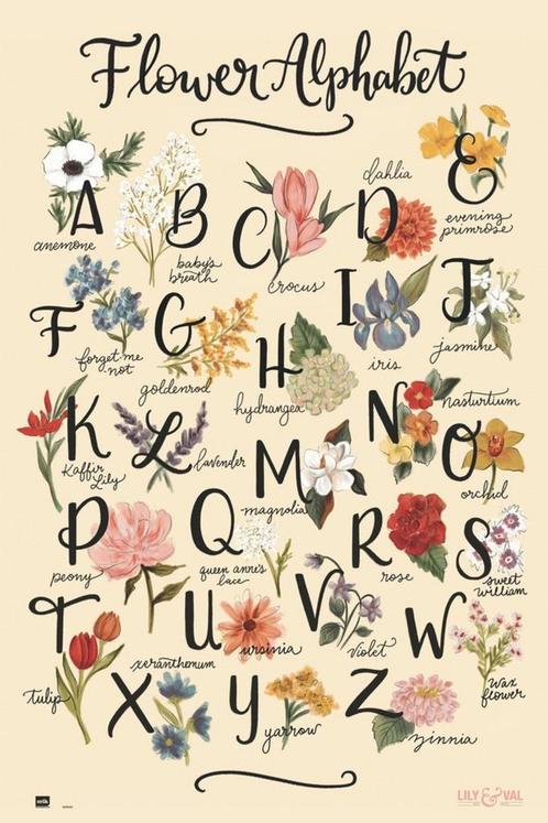 Poster Lily and Val Flowers Alphabet 61x91,5cm, Verzamelen, Posters, Nieuw, A1 t/m A3, Verzenden