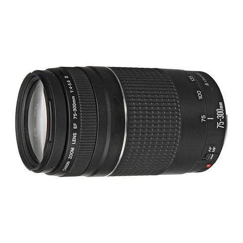 Canon EF 75-300mm f/4.0-5.6 USM III objectief - Tweedehands, Audio, Tv en Foto, Fotografie | Lenzen en Objectieven, Telelens, Gebruikt