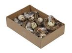 Nestje 7 cm met 1 vogel en 3 eitjes doos 6 nestjes op=op cm., Nieuw, Ophalen of Verzenden