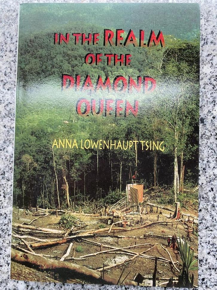 In the realm of the diamond queen (Indonesië), Boeken, Geschiedenis | Wereld, Azië, Gelezen, Verzenden