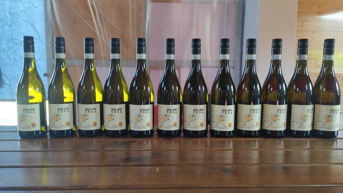 2022 Luca Luigi Tosa, Moscato d’Asti - Piëmont DOCG - 12, Verzamelen, Wijnen