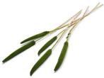 Babala Groen 10pc 65-70 Bundel droogbloemen vaste pluimen, Huis en Inrichting, Woonaccessoires | Kunstplanten en Kunstbloemen