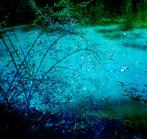 Viet Ha Tran - Silence of the moon