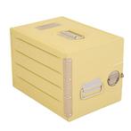 Trap Trading - Trolleys van luchtvaartmaatschappijen -, Antiek en Kunst