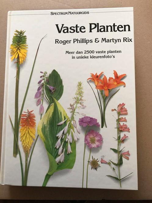 Vaste Planten - 2500 soorten in unieke Kleurenfotos - NIEUW, Boeken, Natuur, Zo goed als nieuw, Bloemen, Planten en Bomen, Ophalen of Verzenden