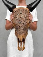 Koe Taxidermie volledige montage - GEEN MINIMUMVERKOOPPRIJS