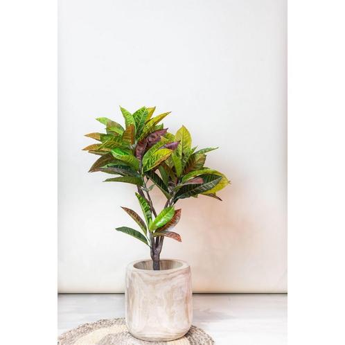 Kunstplant - Croton Codiaeum - Wonderstruik - 100 cm, Huis en Inrichting, Woonaccessoires | Wanddecoraties, Nieuw, Verzenden