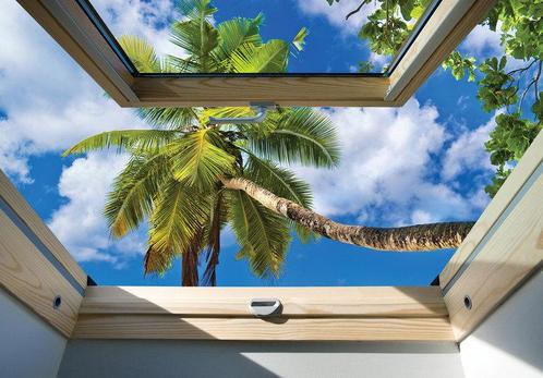 Dakraam fotobehang Palmboom, Huis en Inrichting, Stoffering | Behang, Verzenden