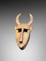 Uitzonderlijk masker Bamana - masker bamana buffel - bamana