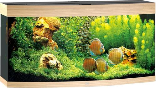 Vision 260 LED Lichtbruin, Dieren en Toebehoren, Vissen | Aquaria en Toebehoren, Nieuw, Ophalen of Verzenden
