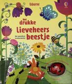 Drukke lieveheersbeestje 9781409531203 Fiona Watt, Boeken, Gelezen, Fiona Watt, Verzenden
