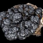 Van hoge kwaliteit botryoïde zwarte Coronadite op kwarts.