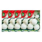 Lente ui zaad | VT | 5 stuks (Bosaardbei), Tuin en Terras, Bloembollen en Zaden, Verzenden