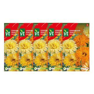 Bloemzaden goudsbloem | VT | 5 stuks, Tuin en Terras, Bloembollen en Zaden, Verzenden