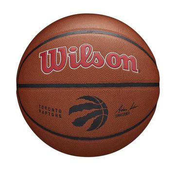 Wilson NBA TORONTO RAPTORS Composite Indoor / Outdoor Basket