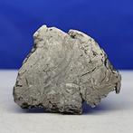 Endcut- IJZER METEORIET, Aletai (China, 1898), Verzamelen, Mineralen en Fossielen