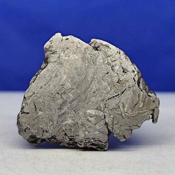 Endcut- IJZER METEORIET, Aletai (China, 1898), Verzamelen, Mineralen en Fossielen