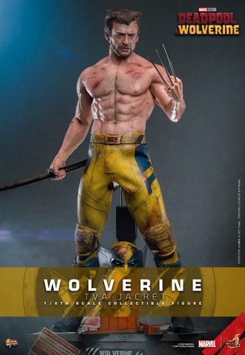 Wolverine (TVA Jacket Version) 1:6 Scale Figure - Hot Toys -