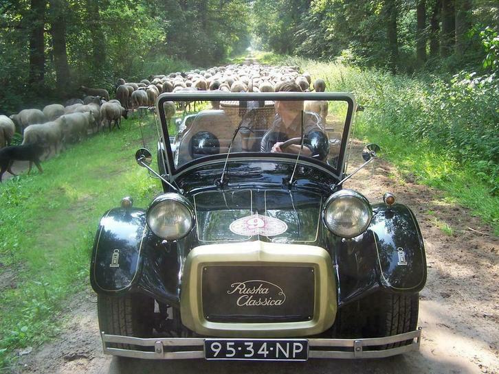Buggy huren Bedrijfsuitje Familiefeest Receptie Drenthe, Diensten en Vakmensen, Groepsuitjes en Personeelsfeesten, Overige activiteiten