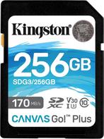 SD Memory Card Kingston SDG3/256GB 256GB 256 GB, Computers en Software, USB Sticks, Nieuw, Verzenden