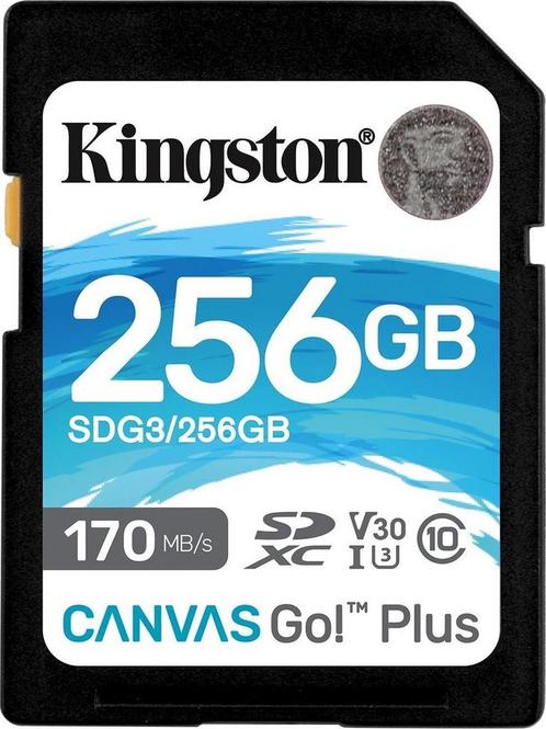 SD Memory Card Kingston SDG3/256GB 256GB 256 GB, Computers en Software, USB Sticks, Verzenden